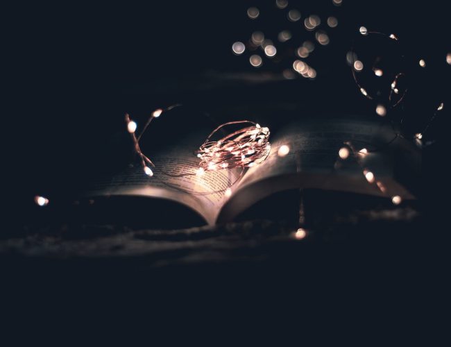 pexels-ashutosh-sonwani-1791747