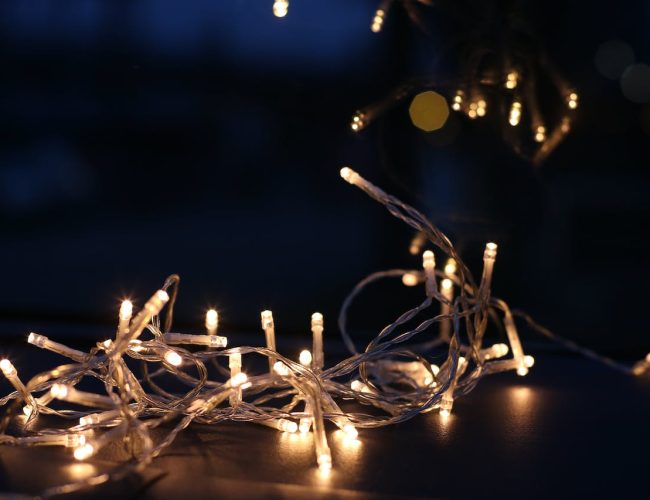 pexels-dzenina-lukac-754265